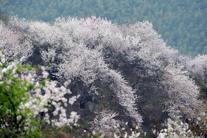 1553146360725969.jpg 斯培爾冷暖設(shè)備.jpg