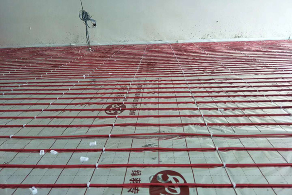 1603269690196202.jpg 20cab201e3a0b2d4ed882b3d72b4af9.jpg