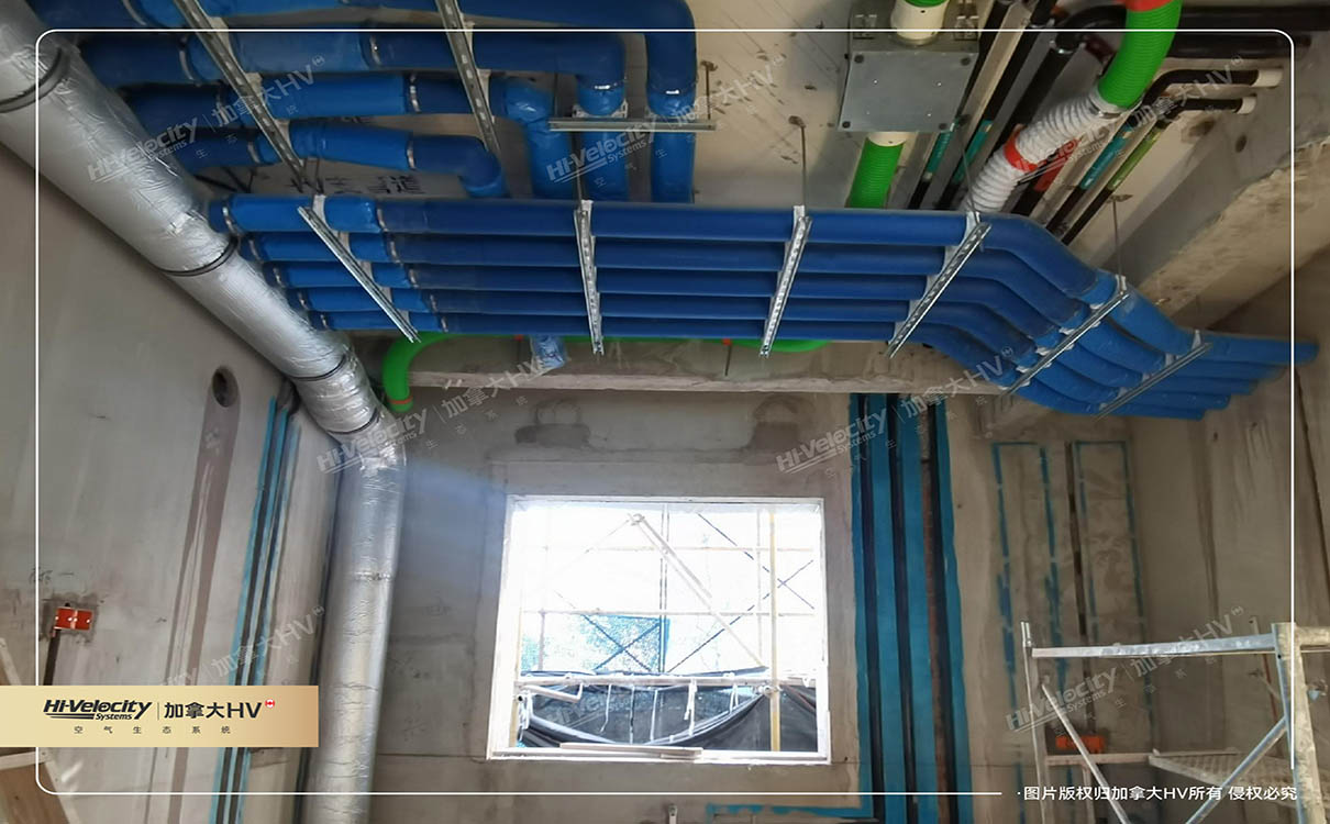 加拿大HV 加拿大HV