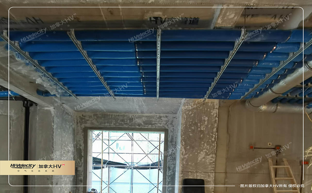 加拿大HV 加拿大HV