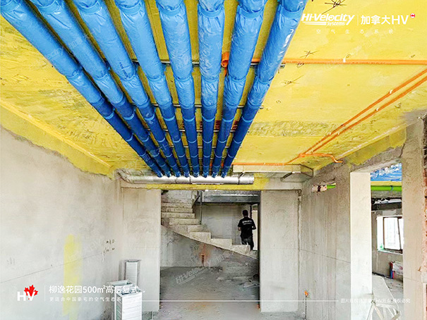 1718265312151545.jpg 2.jpg