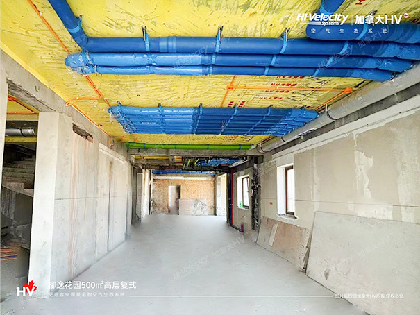 1718265337464806.jpg 3.jpg