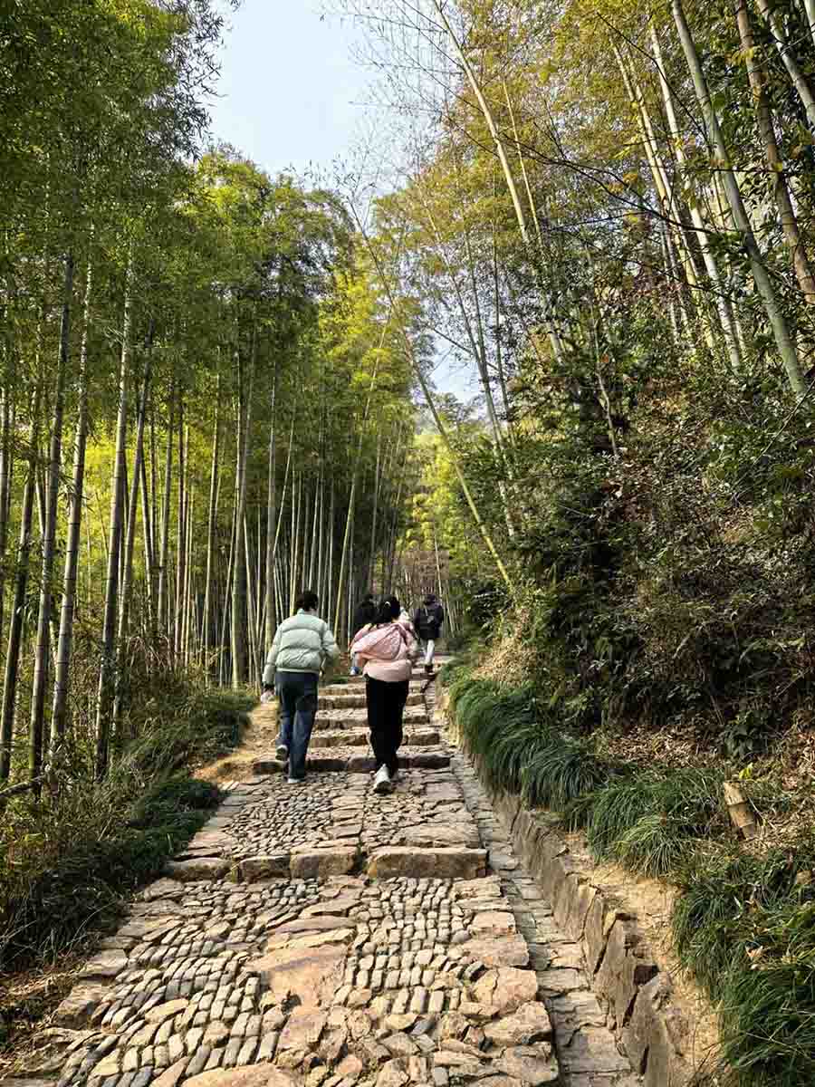 1735630409470994.jpg 381f105ee35336d0f038c2a229e984ba.jpg