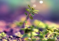 地暖管路為什么要清洗？如何清洗？